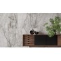 Плитка Opoczno Marble Skin Grey Mat 1198x598