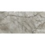 Плитка Opoczno Marble Skin Grey Mat 1198x598