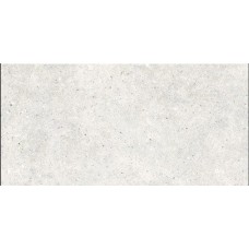Плитка Cersanit Dominika Light Grey Satin 600x297