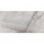 Плитка Opoczno Stone Hills Grey Glossy Rect 598x298