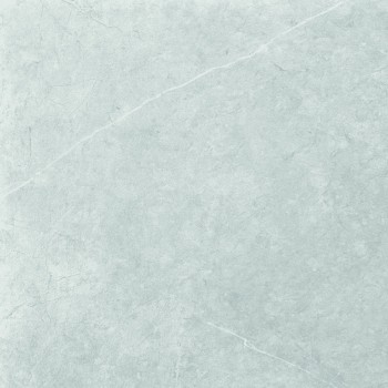 Плитка Almera Ceramica P.E. Northon Light Grey Mt 600x600