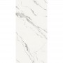 Плитка Fiandre Marble Lab Calacatta Bellissimo (AL199X864) 1200x600