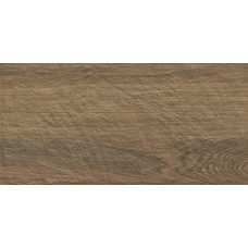 Плитка Paradyz Carrizo Wood STR 600x300