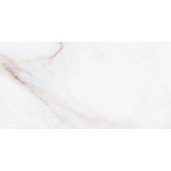 Allore Group Calacatta White Glossy 310X610