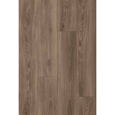 Abk 0006391 Eco Chic Brown Ret 1700X200