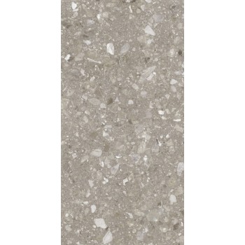 Плитка Allore Group Terra Greige F P R Mat 1200x600