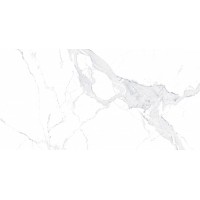 Плитка Allore Group Avenzo Silver F P R Satin 1200x600