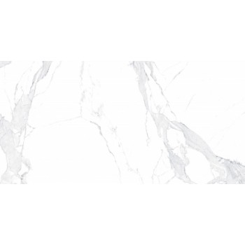 Плитка Allore Group Avenzo Silver F P R Satin 1200x600