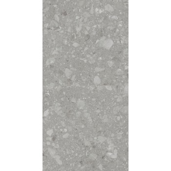 Плитка Allore Group Terra Grey F P R Mat 1200x600