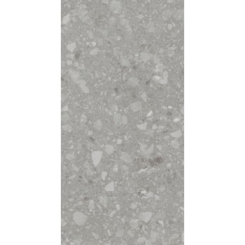 Плитка Allore Group Terra Grey F P R Mat 1200x600