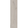 Плитка Allore Group Woodstock White F PR R Mat 900x225