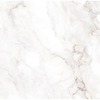Плитка Allore Group Palazzo White F P R Full Lappato 600x600