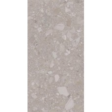 Плитка Allore Group Terra Beige F P R Mat 1200x600