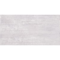 Allore Group Urban Silver Glossy 310X610