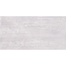 Allore Group Urban Silver Glossy 310X610