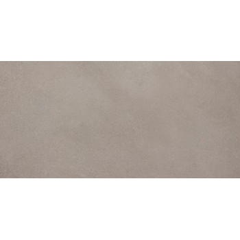 Allore Group Gallo Silver NR Mat 310x610