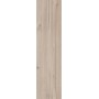 Плитка Allore Group Elma Beige F PR R Mat 900x225