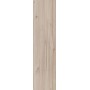 Плитка Allore Group Elma Beige F PR R Mat 900x225