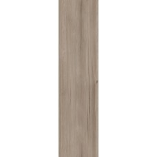 Плитка Allore Group Elma Dark Beige F PR R Mat 900x225