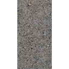 Плитка Allore Group Molika Grey F P R Mat 1200x600