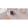 Плитка Allore Group Sand Ivory F P NR Mat 470x470