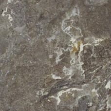 Плитка Allore Group Snake Stone Bronze F PC R Sugar 600x600
