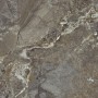 Плитка Allore Group Snake Stone Bronze F PC R Sugar 600x600