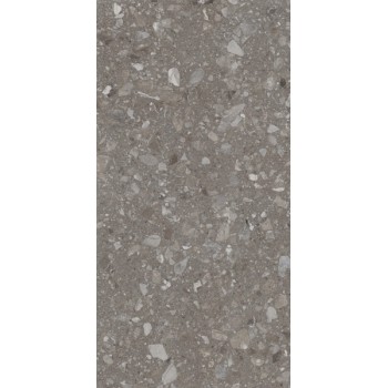 Плитка Allore Group Terra Greige F PC R Sugar 1200x600