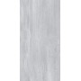 Плитка Allore Group Travertine Silver F PC R Mat 1200x600