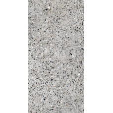 Плитка Allore Group Molika Silver F P R Mat 1200x600