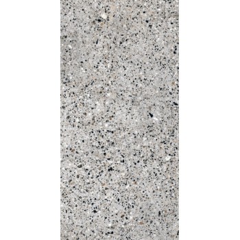 Плитка Allore Group Molika Silver F P R Mat 1200x600