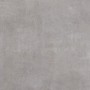 Плитка Allore Group Praktic Grey F P NR Mat 470x470