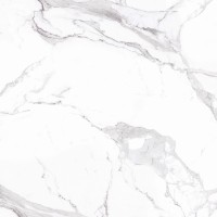 Плитка Allore Group Statuario White F P NR Satin 470x470