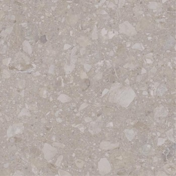 Плитка Allore Group Terra Beige F P R Mat 600x600