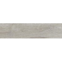 Плитка Allore Group Vivo Silver F PR NR Mat 600x150