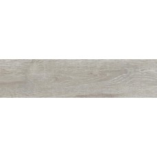 Плитка Allore Group Vivo Silver F PR NR Mat 600x150