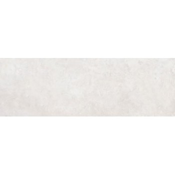 Allore Group Porto Light Grey W M Nr Glossy 250X750