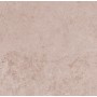 Плитка Allore Group Limestone Beige F P R Mat 600x600