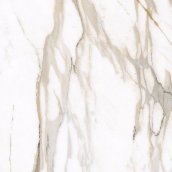 Плитка Allore Group Calacatta Gold Mat 600x600