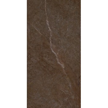 Плитка Allore Group Mariya Brown F P R Mat 1200x600
