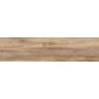 Плитка Allore Group Castana Beige F PR R Mat 900x225