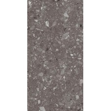 Плитка Allore Group Terra Anthracite F P R Mat 1200x600