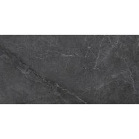 Плитка Almera Ceramica PM12609T Moss 1200x600