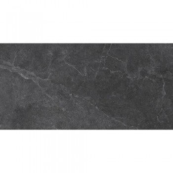 Плитка Almera Ceramica PM12609T Moss 1200x600