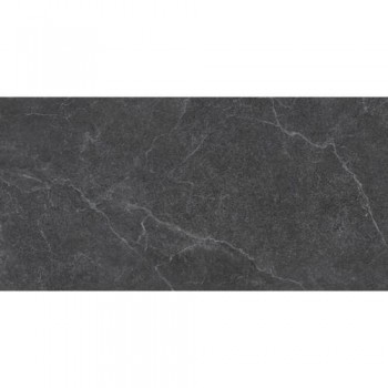 Плитка Almera Ceramica PM12609T Moss 1200x600
