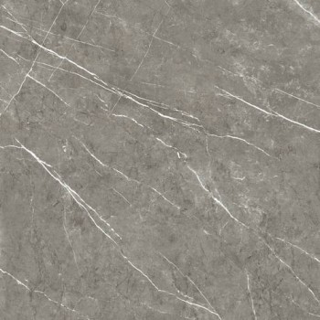 Плитка Almera Ceramica Columbia Gris Mt 1000x1000