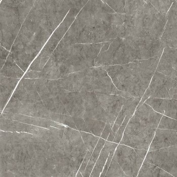 Плитка Almera Ceramica Columbia Gris Mt 1000x1000