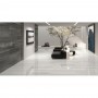 Плитка Almera Ceramica Erastone Light Grey 1200x600