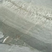 Almera Ceramica Agata Petrified 150X150