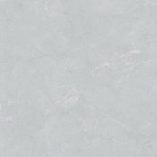Плитка Almera Ceramica PN03 Light Grey Pol 1000x1000